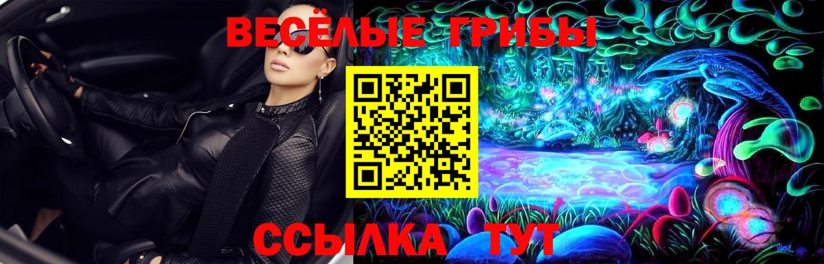 Краснокаменск  Галлюциногенные грибы GOLDEN TEACHER  Вход с VPN 